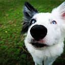 María Barrado García