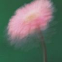 flor lopez