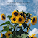 ioanacristinamunteanu5