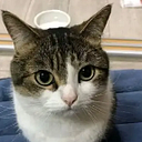 Alejandro Porfirio Ayala Trinidad