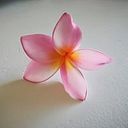 Susana Carolina Alvira Palacios