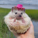 Melissa Rivas Melean