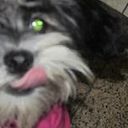 Carlos Sánchez Cortez