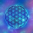 Alodia Gallo Detorres