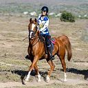 Melissa van Coppenhagen