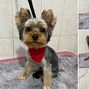 Loreto Jessica Vega Sanchez