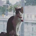 Jesús Quiroga Monroy