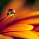 Francisca Otero Aguirre