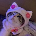 RITA DE CASSIA CHAVES