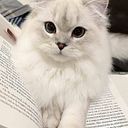 Liliam Noemí Cachimuel Quinchiguango