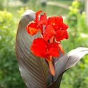mgr Mariusz Jakubowski