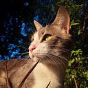 Milena Solange Ulrich Sterzen