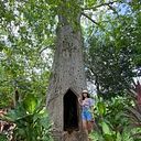 Hanna Laurentz Latorre