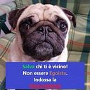 Mimma Delia