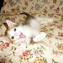 Елена Португалова