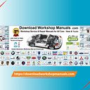 Workshop Manuals