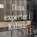 Dina Bartuli