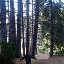 Ramon Rene Revainera