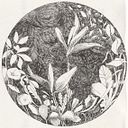 nadja_schwarzenegger