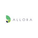 Allora Solutions Group