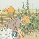 arablefarmland