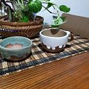 Cristina Martinovich