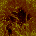 Daniel Herrera Acevedo