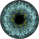 Julia Bauzá Martinez