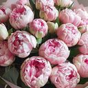 Lourdes Fortiana Pineda