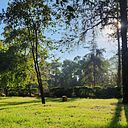 Alina Hassaf Arreola