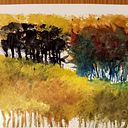 Daniel Morales Morales