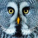 Pablo Sánchez Senén