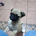 Alicia Hernandez Ochoa