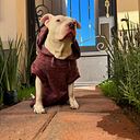 Maria del Consuelo Villalba Hernandez