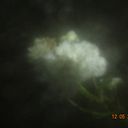 hannysantanaferreira