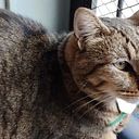 Matías Nicolás Garro López