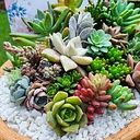 Paisajismo Entre Verde