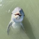 SmittyWerben Jagermanjensen