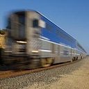 theauspicioussquirrel