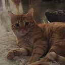 Μαρία Αναγνώστου