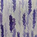 sunshine_treasures_art