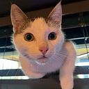 Sandra Jansen - Eleveld