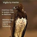 Fanny Aguirre