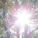 Jennifer Laura Zimmermann