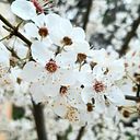 Cristina Calatayud Garcia