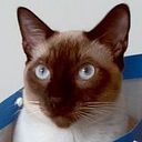 Hernando Gongora Tafur