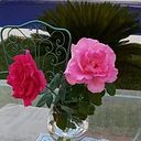 María Del Carmen Jiménez Pérez