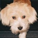 Seahurst Plant-Chick