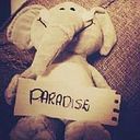 Clarisa Gudiño Martinez