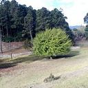 Alejandro Sanchez Diaz